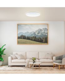 FRANIA-A wall/ceiling light