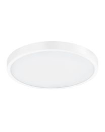 FUEVA-A surface-mounted light 98292