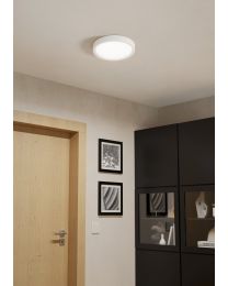 IDUN-E surface-mounted light